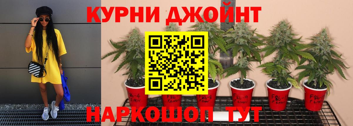 Канабис тримм  Вход с VPN  Осинники  Каннабис Bruce Banner  Шишки марихуана тримм 